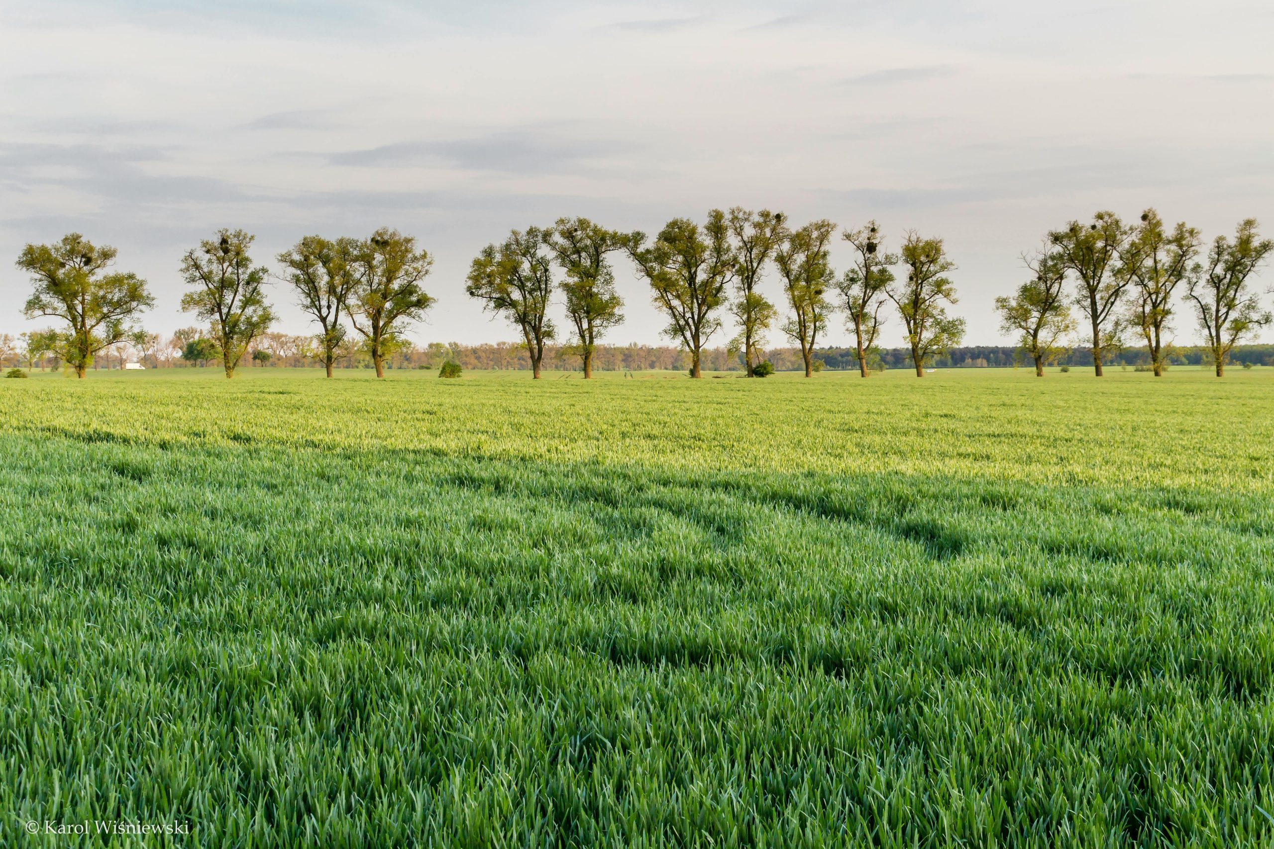 Zdjęcie do artykułu: Lubelszczyzna – miejsca, które zachwycają naturą i historią